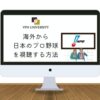 VPNを利用して海外から日本プロ野球の試合を視聴する方法