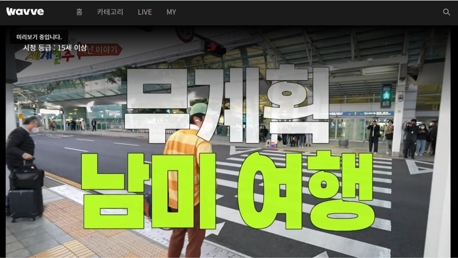 VPNを利用すれば、日本からも韓国のWavveの番組が視聴できる
