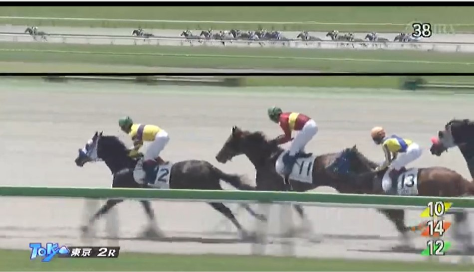 海外からJRA競馬のライブ中継を視聴するのに使えるVPN