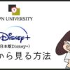【2023年版】日本版Disney+を海外から見る方法！エラーで見れない原因やVPNを利用した対処法