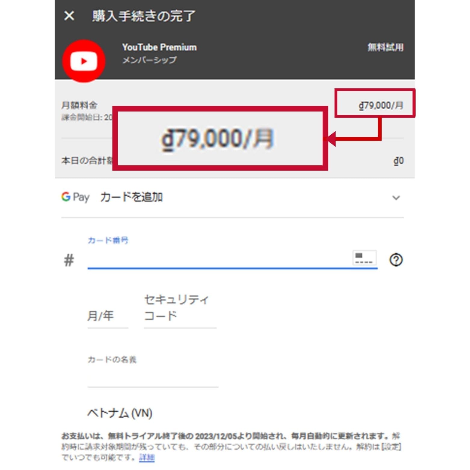 ベトナムのYouTubeプレミアムで支払い情報を入力する画面