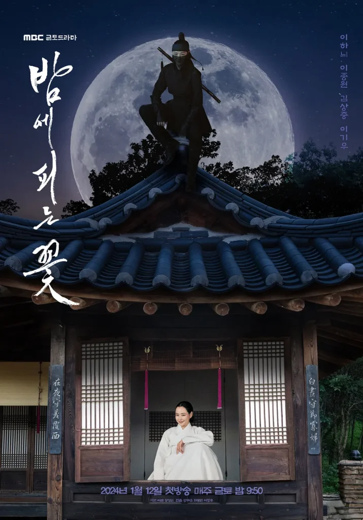 イ・ハニ主演の韓国ドラマ「夜に咲く花」はどこで見れる?U-NEXTとVPNで視聴する方法